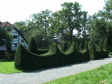 Niederrheinisches Freilichtmuseum : Hofanlage Rasseln